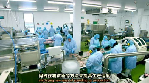 香腸工廠新技術(shù)過渡 機遇與挑戰(zhàn)并存